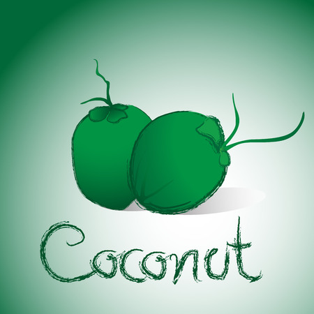 Coconut Vector Wordのイラスト素材