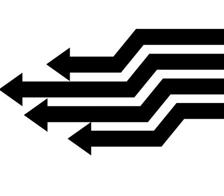 Black and White Arrows Design