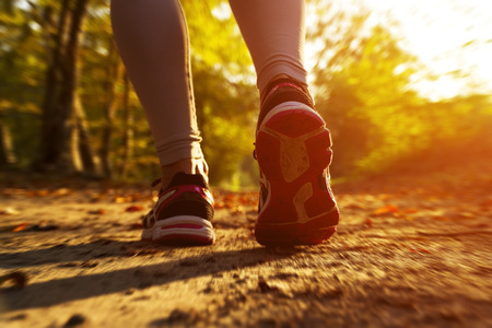 Fitness Girl running at sunset in forestの写真素材