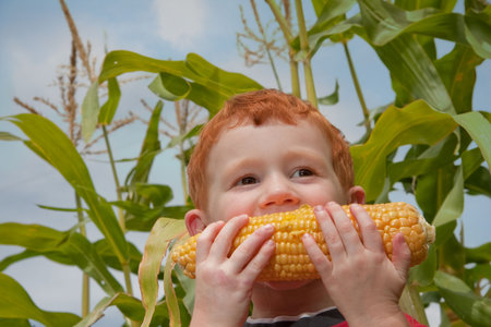 Young boy eating fresh corn with cornstalk and sky backgroundの写真素材
