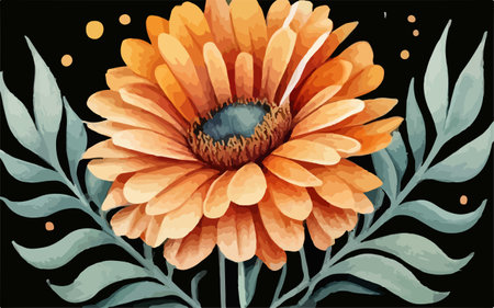 Illustration of a beautiful orange gerbera on a black backgroundのイラスト素材