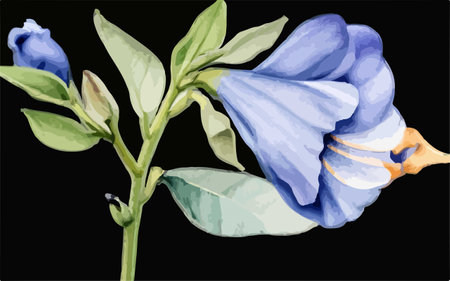 Illustration of a blue bellflower with leaves on a black backgroundのイラスト素材