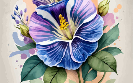 Hand drawn watercolor illustration of blue and violet hibiscus flowers.のイラスト素材
