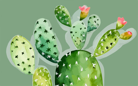 Cactuses in watercolor style. Hand drawn vector illustration.のイラスト素材