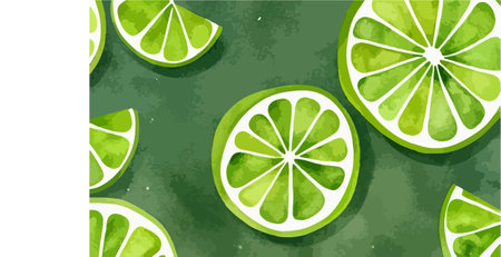 Lime slices on green watercolor background. Hand drawn vector illustration.のイラスト素材