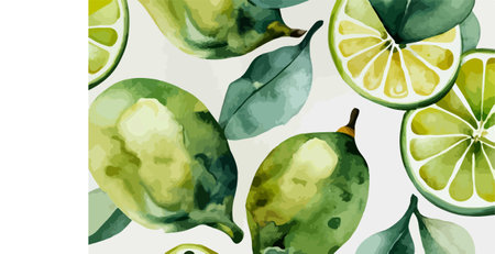 Seamless pattern with watercolor lime slices. Vector illustration.のイラスト素材