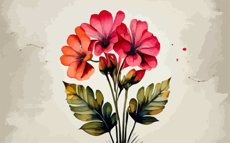 Watercolor bouquet of geranium flowers. Hand drawn vector illustration.のイラスト素材
