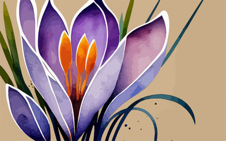 Beautiful crocus flowers on a beige background. Vector illustration.のイラスト素材
