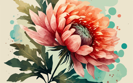 Hand drawn chrysanthemum flower. Vector watercolor illustration.のイラスト素材