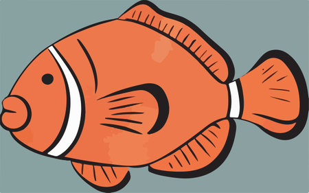Clown Fish.Illustration in vector format very easy to editのイラスト素材