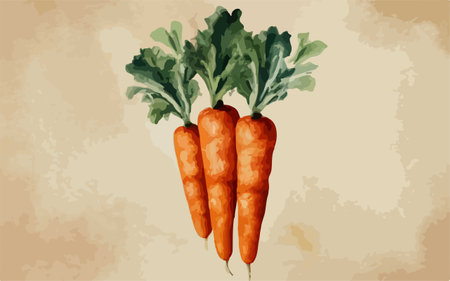 Carrot vector illustration. Hand drawn illustration of fresh organic vegetables.のイラスト素材