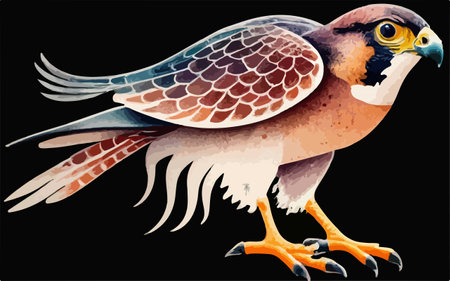 Peregrine falcon isolated on black background. Vector illustration.のイラスト素材