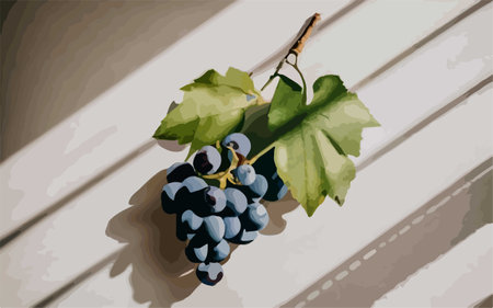 Illustration of a bunch of grapes with leaves on a wooden backgroundのイラスト素材