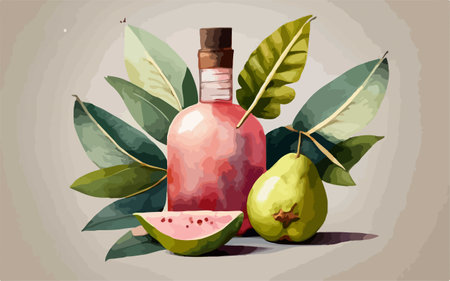 Illustration of a bottle of guava essential oil and guava fruitsのイラスト素材