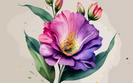 Illustration of a purple peony with green leaves and buds.