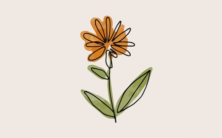 Vector hand drawn doodle illustration of a calendula flowerのイラスト素材