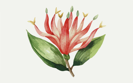 Illustration of a red flower and green leaves on a white backgroundのイラスト素材