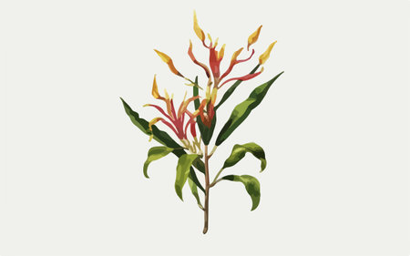 Hand drawn illustration of Heliconia or Strelitzia reginaeのイラスト素材