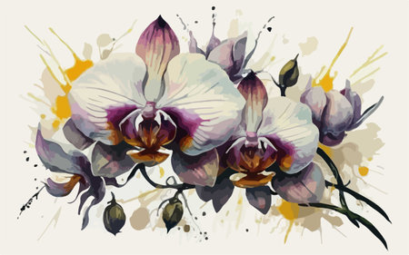Watercolor hand drawn bouquet of orchids. Vector illustration.のイラスト素材