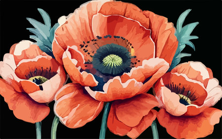 poppies on a black background, vector illustration, eps 10のイラスト素材