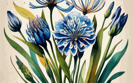 Watercolor blue and yellow cornflowers, hand drawn vector illustrationのイラスト素材