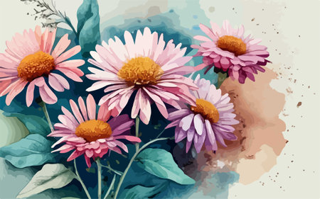 Watercolor floral background with pink chrysanthemums. Vector illustration.のイラスト素材