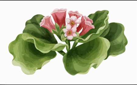 Illustration of a pink geranium with green leaves on a white backgroundのイラスト素材