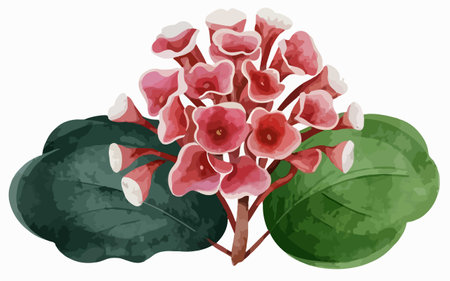 Illustration of a pink flower with green leaves on a white backgroundのイラスト素材