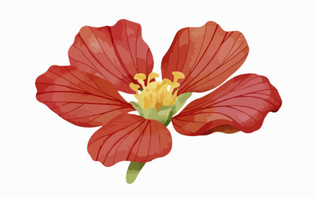 Red Hibiscus flower isolated on white background. Vector illustration.のイラスト素材