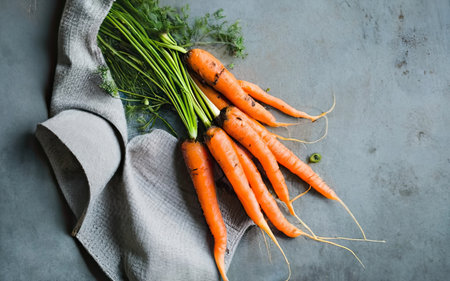 Bunch of fresh organic carrots with green leaves on grey background.の素材