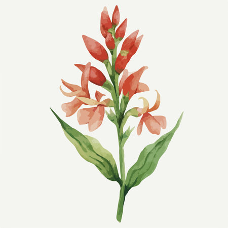 Beautiful hand drawn watercolor illustration of a lily flower.のイラスト素材