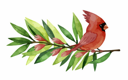 Illustration of a cardinal bird on a branch with green leaves.のイラスト素材