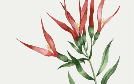 Hand drawn watercolor illustration of red and green tropical flowers. Botanical illustration.のイラスト素材