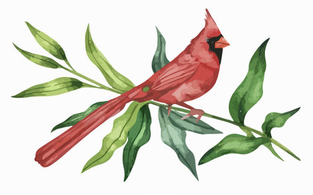 Red cardinal bird on a branch with green leaves. Vector illustration.のイラスト素材