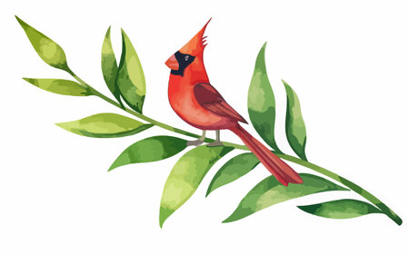Illustration of a red cardinal bird on a branch with leaves.のイラスト素材