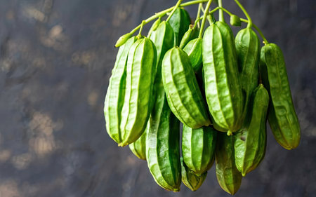 Bunch of fresh green mango fruits on black background, stock photoの素材