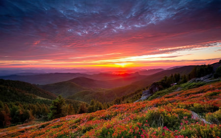 Beautiful sunset in the Carpathian mountains. Ukraine, Europeの素材