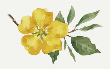 Watercolor hand drawn illustration of a yellow flower with green leaves.のイラスト素材