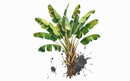 Banana tree isolated on white background. Hand drawn vector illustration.のイラスト素材