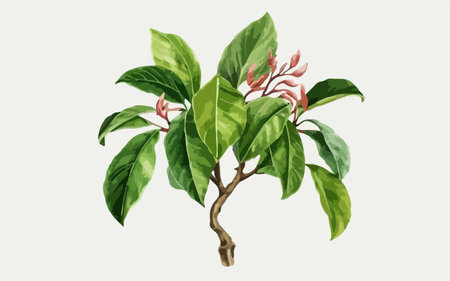 Branch with green leaves and red flowers. Vector illustration isolated on white background.のイラスト素材