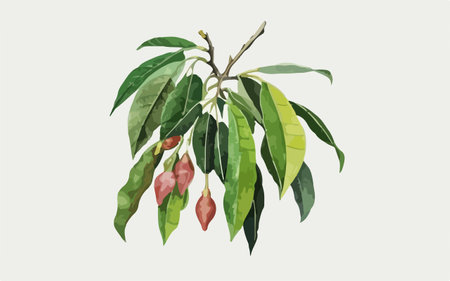 Illustration of a tree with green leaves and red fruits on a white backgroundのイラスト素材