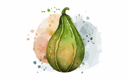 Watercolor hand drawn green pumpkin on white background. Vector illustration.のイラスト素材