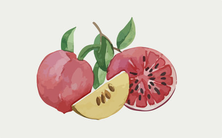 Watercolor illustration of watermelon and pomegranate on white backgroundのイラスト素材