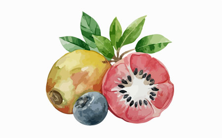 Watercolor illustration of a set of fruits on a white background.のイラスト素材