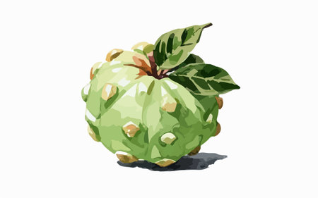 Watercolor illustration of a green custard apple on a white backgroundのイラスト素材