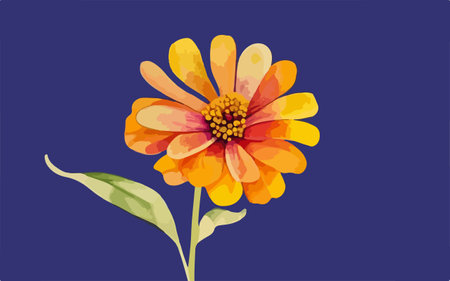 Illustration of a zinnia flower on a blue background.のイラスト素材