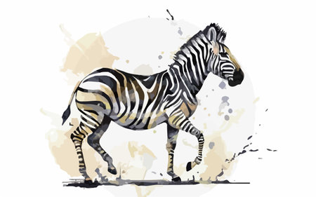 Zebra in watercolor splashes. Hand drawn vector illustration.のイラスト素材