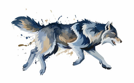 Illustration of a wolf running on a white background with splashesのイラスト素材