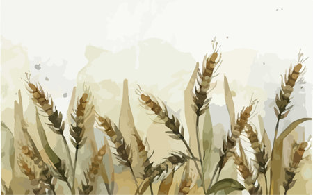 Watercolor background with wheat ears. Hand-drawn illustration. Vector.のイラスト素材