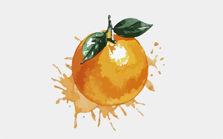 Orange fruit with splashes and drops of juice. Vector illustration.のイラスト素材